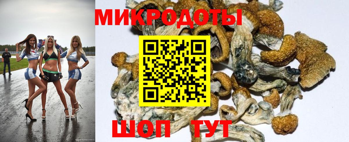 как найти   Галлюциногенные грибы GOLDEN TEACHER  Вход с VPN  Галлюциногенные грибы GOLDEN TEACHER  Тайшет 